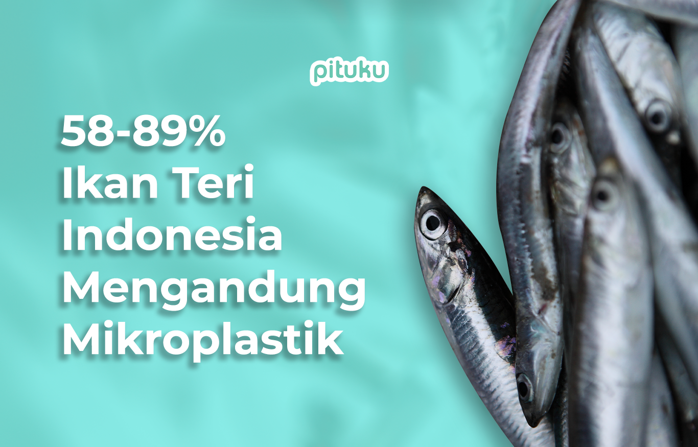 Mengkhawatirkan! 58-89% Ikan Teri Indonesia Mengandung Mikroplastik